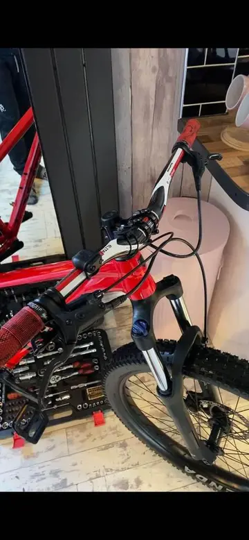 Trek roscoe 6